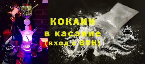 гидра Белокуриха