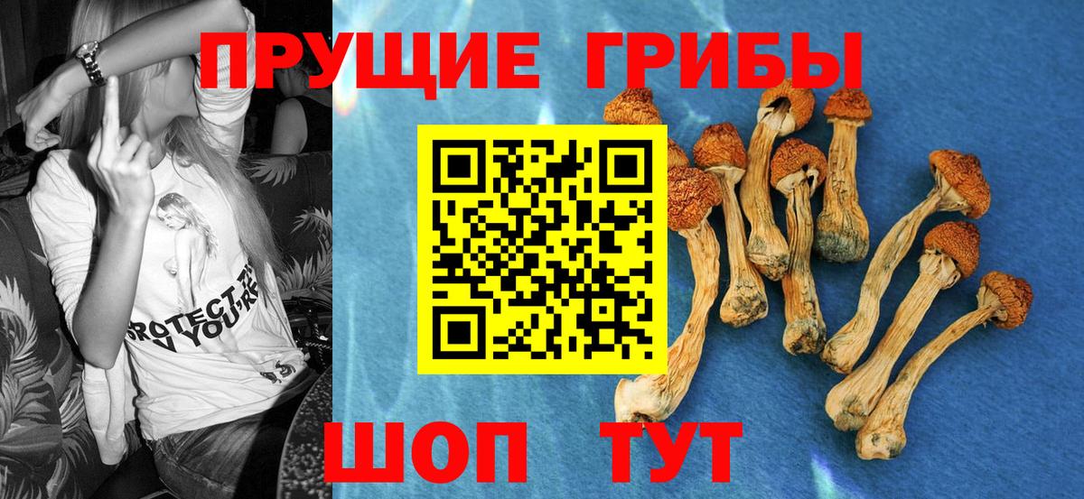Галлюциногенные грибы мухоморы Буйнакск