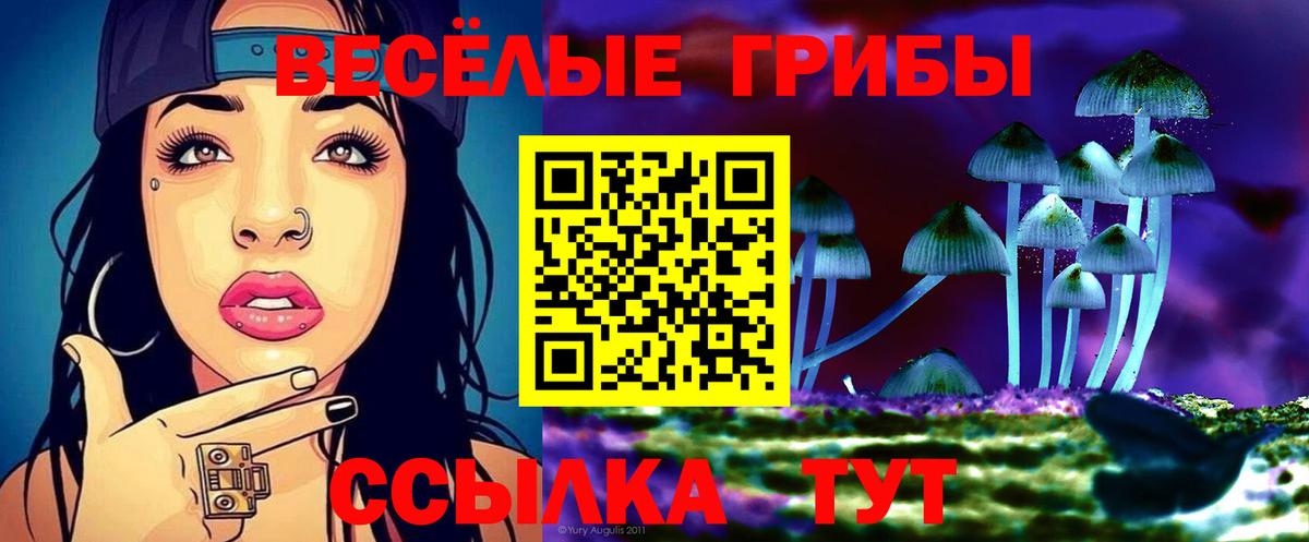 Псилоцибиновые грибы Magic Shrooms  Вход с VPN  Буйнакск  Псилоцибиновые грибы GOLDEN TEACHER 